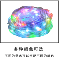 led灯幻彩皮线灯手机智能声控防水灯串皮线灯灯带led 彩灯线10米100灯 APP+遥控款