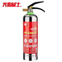 火焰战士 简易式干粉型灭火器干粉便携小型消防器材 MFJ980不锈钢/个