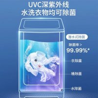 海尔(Haier)10公斤全自动大容量10公斤XQS100-BZ358S(TT)