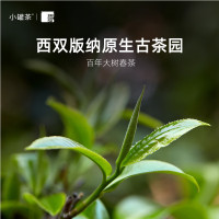 小罐茶 金罐10罐装 普洱熟茶 40g(DT)