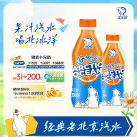 北冰洋PET桔汁汽水 300ml*24瓶