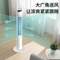 美菱电风扇家用无叶塔扇落地扇电扇办公室卧室立式空气循环风扇 遥控款MPF-LT21301