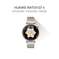 华为 HUAWEI WATCH GT 4 不锈钢间金表带 41mm 皓月银