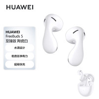 华为HUAWEI FreeBuds 5标准版半入耳式降噪蓝牙耳机 水滴设计超磁感澎湃单元 音乐游戏运动耳机 有线充电