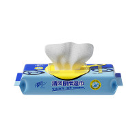 清风25片厨房湿纸巾BWB25KE(影)