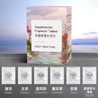 香薰补充片 车载香薰专用替换芯混合香味6片装