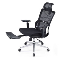 兰冉 LR-ST-263 人体工学电脑椅办公椅子带脚踏 W640*D500*H1060mm