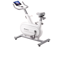 麦瑞克动感单车家用健身智能室内自行健身运动减肥器材追风X跑步机 银月白-智能调阻-32档阻力智能调节