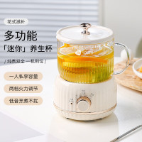 AIYOUTH艾青春 多功能养生杯 MY203(影)