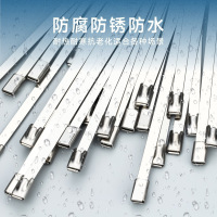 自锁式304不锈钢扎带,7.9*600mm(100根起拍)