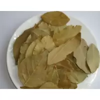 鑫牧盟香叶/斤