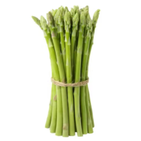 鑫牧盟芦笋/斤
