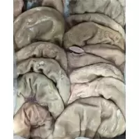 鑫牧盟猪肚/斤