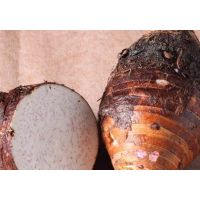 鑫牧盟广东芋头/斤