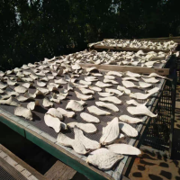 鑫牧盟 红薯干/斤