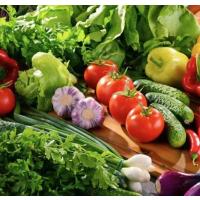 鑫牧盟 2025.2.10-2025.3.9食材蔬菜补差额 徐烟补差 额实际以称重为准