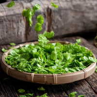 鑫牧盟 榆钱/斤新鲜榆钱子现摘榆钱