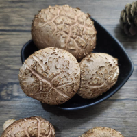 鑫牧盟 鲜花菇/斤