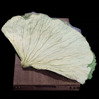 鑫牧盟 干荷叶/张 干荷叶叫花鸡荷叶整张荷叶