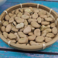 鑫牧盟 干蚕豆/斤