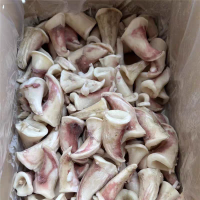 鑫牧盟 喇叭鱼/斤鱿鱼尾尖