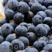 鑫牧盟 蓝莓125g/盒