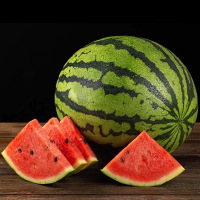 鑫牧盟 小西瓜/斤