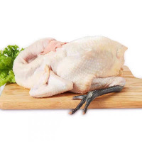 鑫牧盟 黑腿鸡/斤