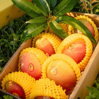 鑫牧盟 澳芒/斤