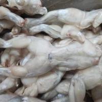 鑫牧盟 冻牛蛙/斤