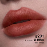 完美日记(PERFECT DIARY)锁色薄纱名片唇釉201(80004693)