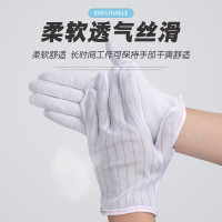 Golmud GM602 100双 防静电手套 白色 (计价单位:组)