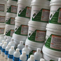 鼎晟丰(DSF) DSF D60 2kg 封堵剂 (计价单位:组)