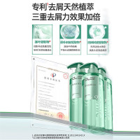 舒蕾氧活O₂ Dynamic清凉去屑洗发露400g