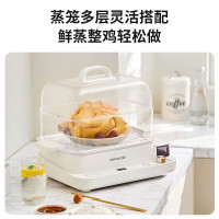 九阳电蒸锅DZ180HG-GZ568