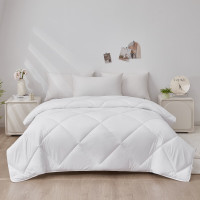 梦洁家纺澳洲羊毛纤维被 1010289073A005