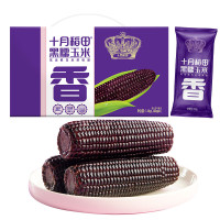 十月稻田(SHIYUEDAOTIAN)黑糯玉米 8根 3.2斤 代餐早餐 真空包装 花青素 杂粮礼盒