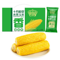 十月稻田(SHIYUEDAOTIAN)水果甜玉米 8根 3.52斤 真空开袋即食 低脂早餐 粗粮礼盒