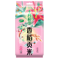 十月稻田 2025年新米 香稻贡米 东北大米 香米 粳米 小包装 2斤