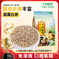 十月稻田 藜麦米 2斤 新米 藜麦糙米饭 五谷杂粮 粥米 高蛋白 膳食纤维