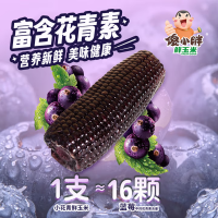 十月稻田(SHIYUEDAOTIAN) 紫玉米礼盒(普通)1800g