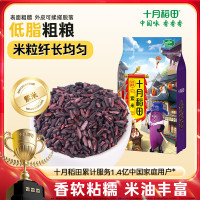 十月稻田 紫米 2斤 低脂粗粮 云南紫米 五谷杂粮 含花青素 紫糯米 紫米露