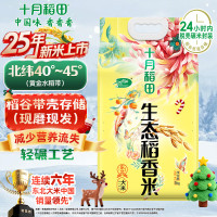 十月稻田 2025年新米 生态稻香米 5kg 东北大米 粳米 5公斤