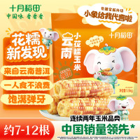 十月稻田 小花糯玉米 3斤(7-12根) 云南普洱 真空包装 大拇指香甜糯玉米
