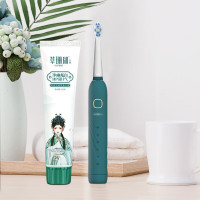 思嘉思达 优乐电动牙刷套装 SKD-Y0029