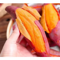 苏宁宜品蜜薯500g现挖沙地甜糯蜜薯地瓜