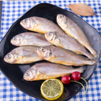 苏宁宜品小黄鱼500g深海鱼 生鲜鱼类烧烤食材