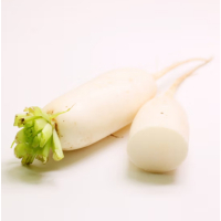 苏宁宜品白萝卜500g新鲜蔬菜