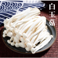 苏宁宜品白玉菇500g新鲜食用蘑菇鲜美菌类