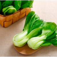 苏宁宜品杨头青500g四季青绿叶菜青菜